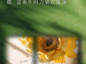 剥开两边打花蒂小哭包GL唐阮：女性情感表达的破茧与重生