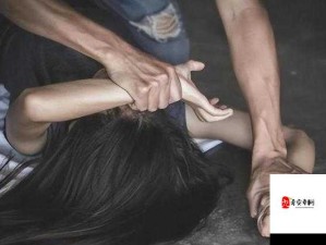 「警花遇袭事件背后的真相！舆论漩涡下必须知道的三件事」