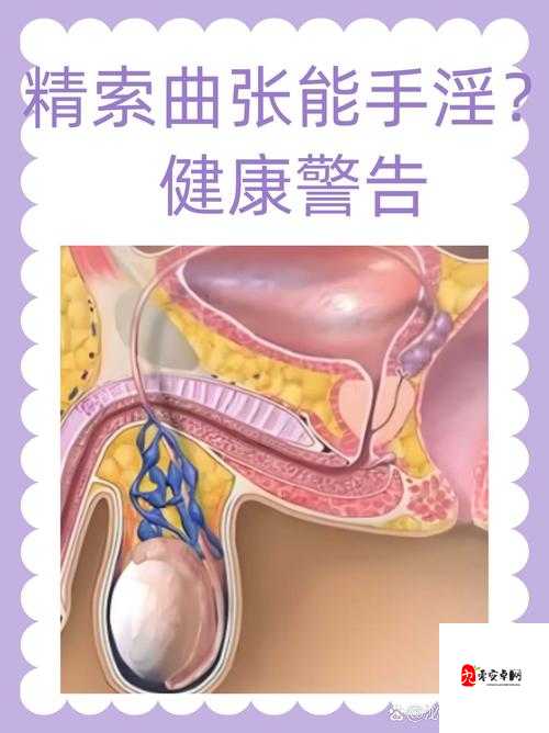 男性自慰与免费网站风险:健康和生活平衡的真相