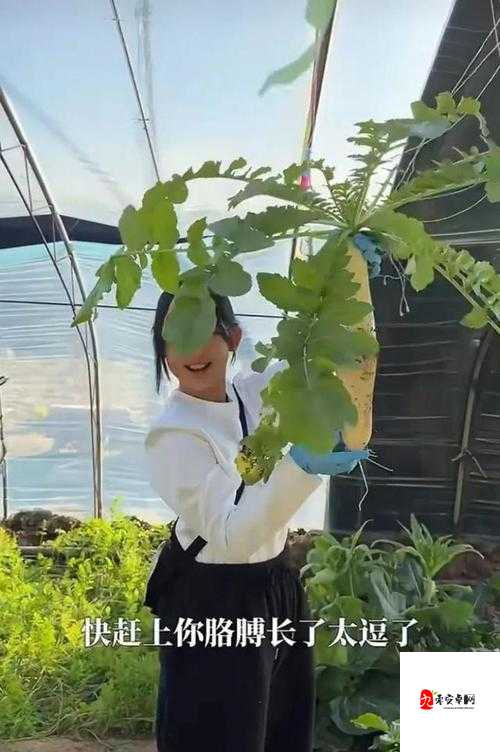 扒开美女❌狂揉❌拔萝卜视频!爆笑农活背后折射的生活真相