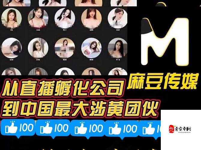 99AV国产精品欲🍑🍒麻豆:揭秘网络文化现象背后的深层魅力与现实写照