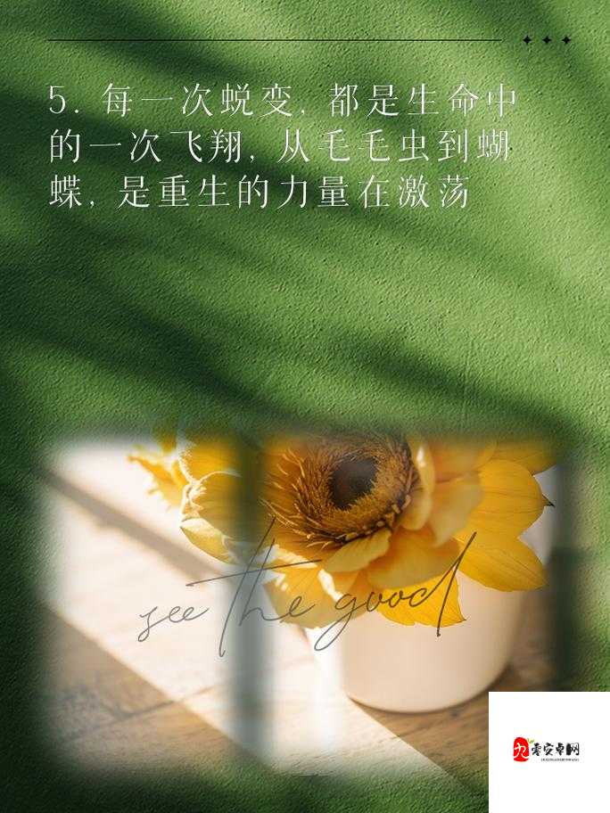 剥开两边打花蒂小哭包GL唐阮:女性情感表达的破茧与重生